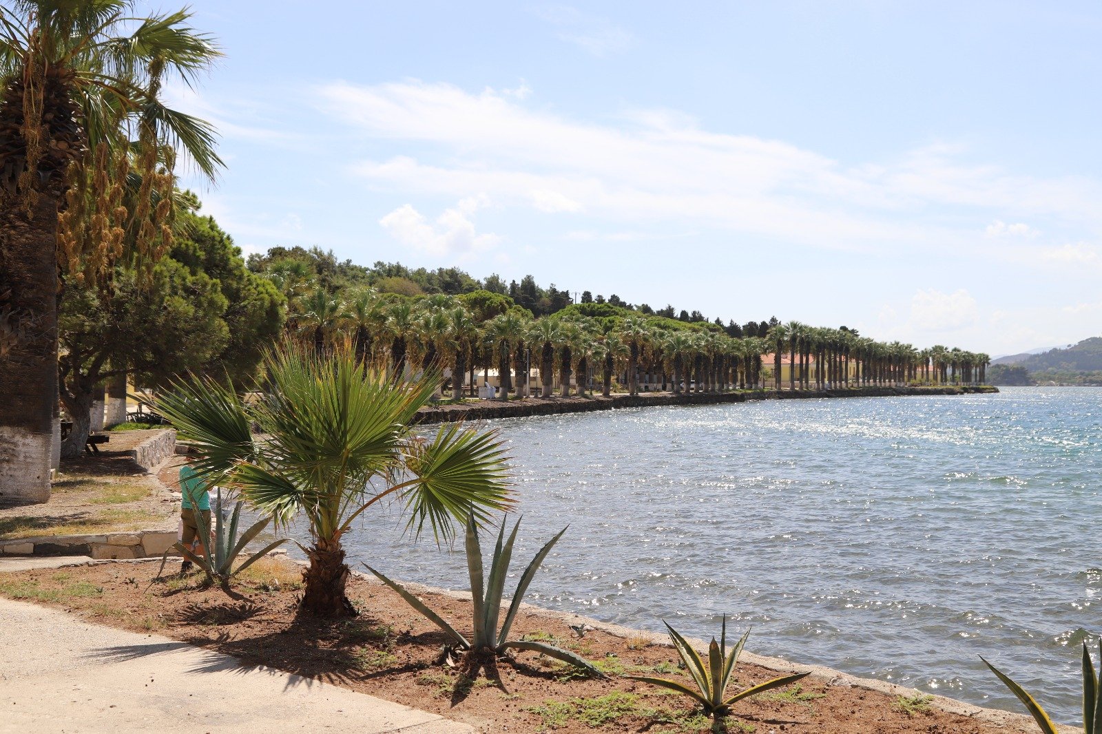 0Cce0821 6A1C 40B5 A405 8A7E439B9F4C-2