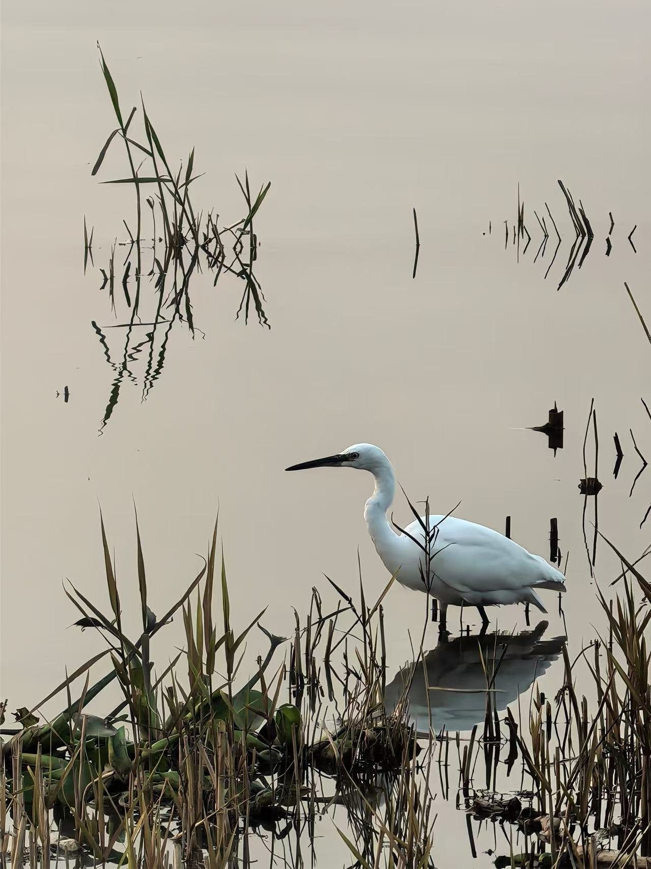 1. Çocukların Gözünden Şehir