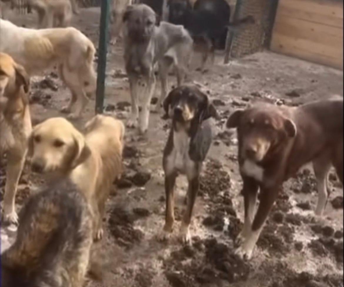 149343Ce 94D7 4Eb7 88Bd 3E1Ed36Df76A