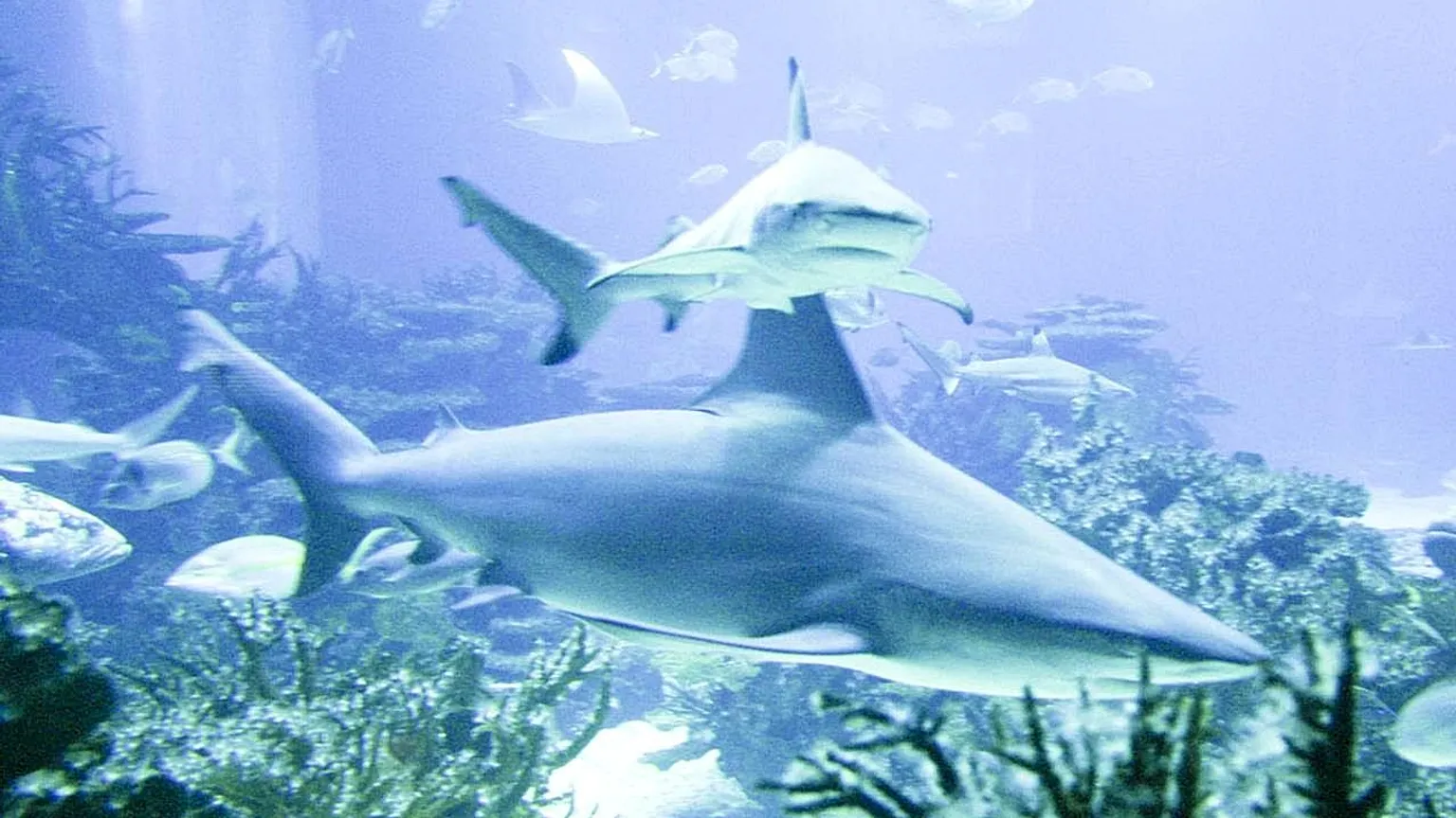 1536X864 Cmsv2 62D79E02 8B37 5976 9E09 1C00Bffa93D2 9700112