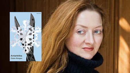 2. Antarktika Claire Internet Icin