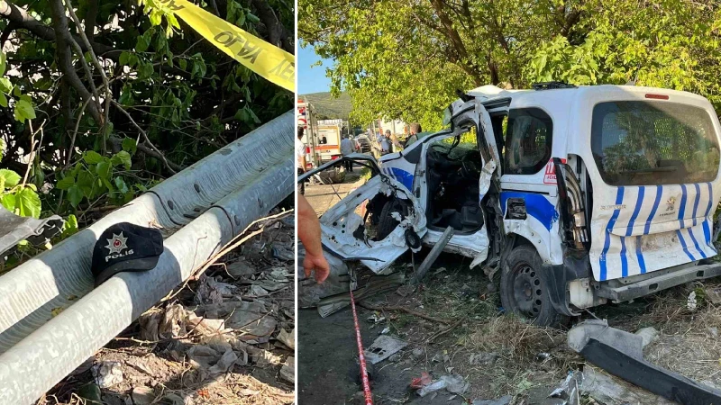 2407Da14 54Mphzlrca8J7Cx74Mk49G