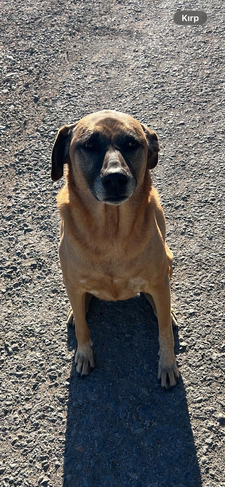 302589A3 6A11 4C8B 9E95 1Cf3273Ade7F