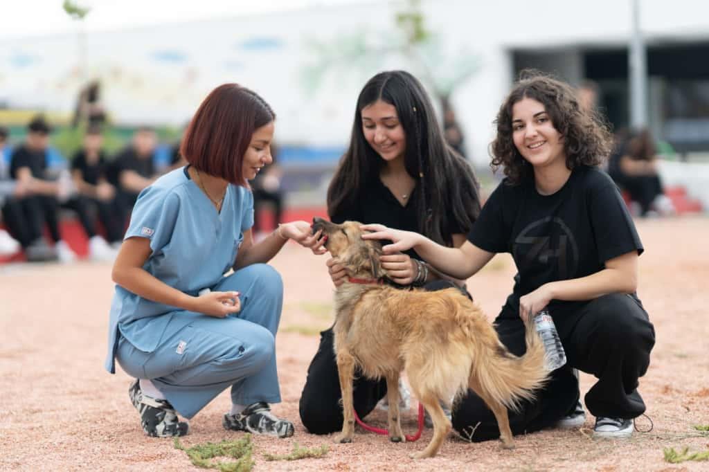 4.04.2026 831C9Fbc 931E 4A6F A1Eb 8A7139E2B3A0