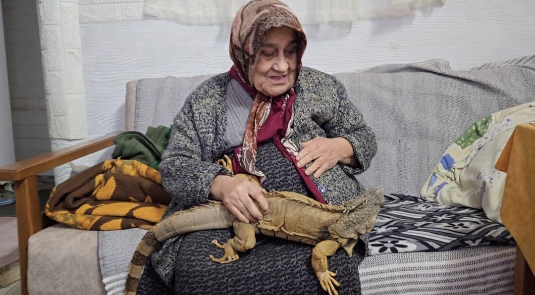 4E0E77Bb 035A 4A05 A826 Dcd04D76C53C