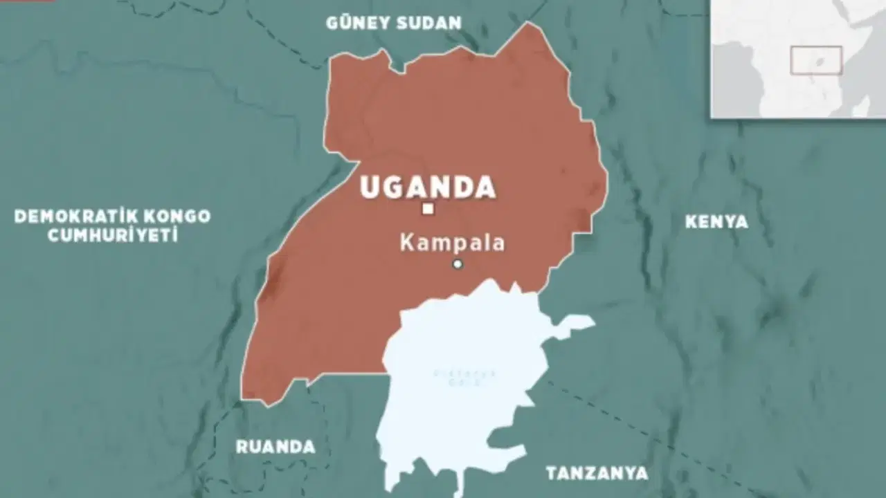 54C8E10D Ccbb 4Fb7 8A7A Da6E0D00Af1C