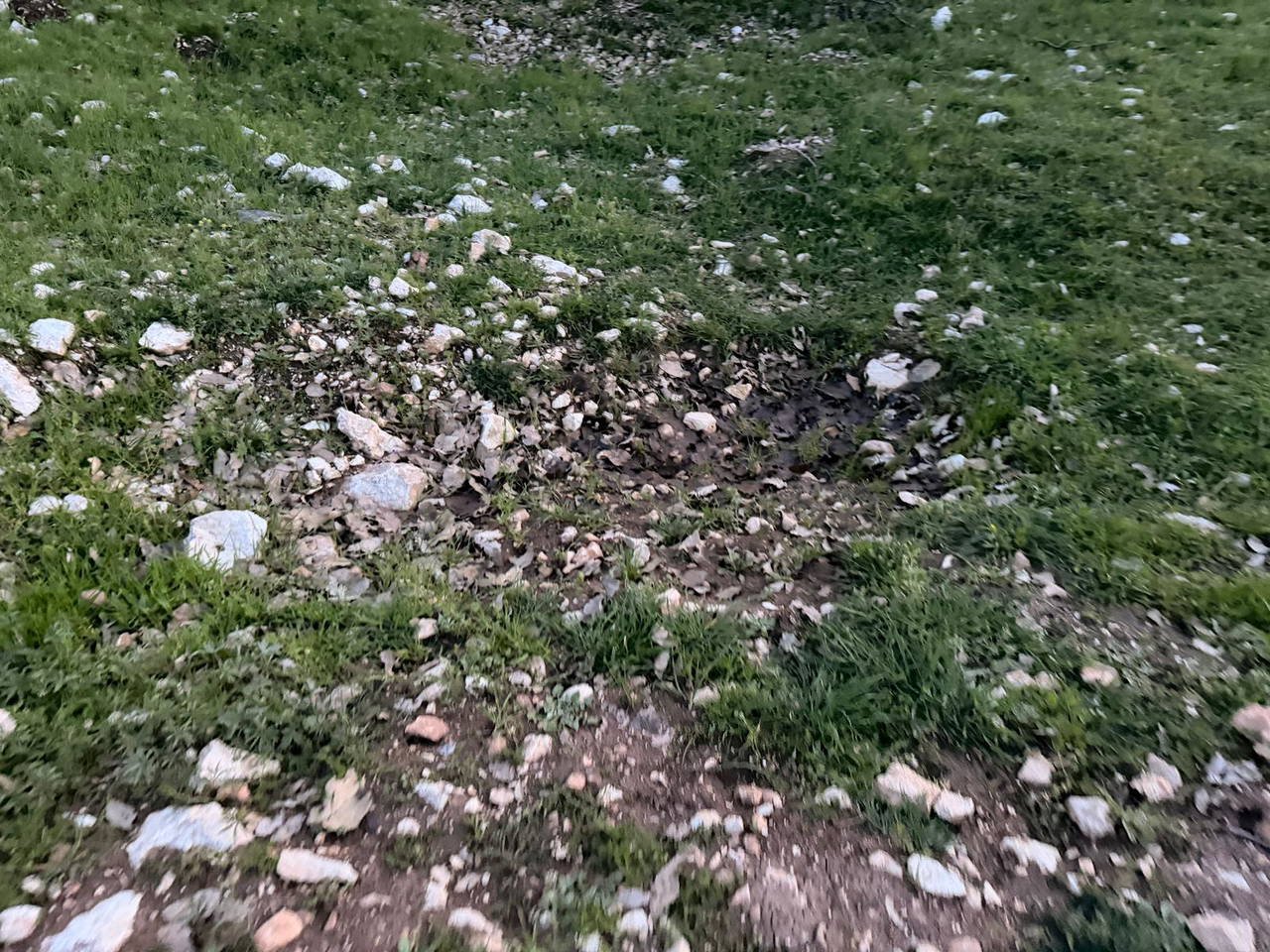 5D8B917E 58Bd 4830 Aa03 93C702544316