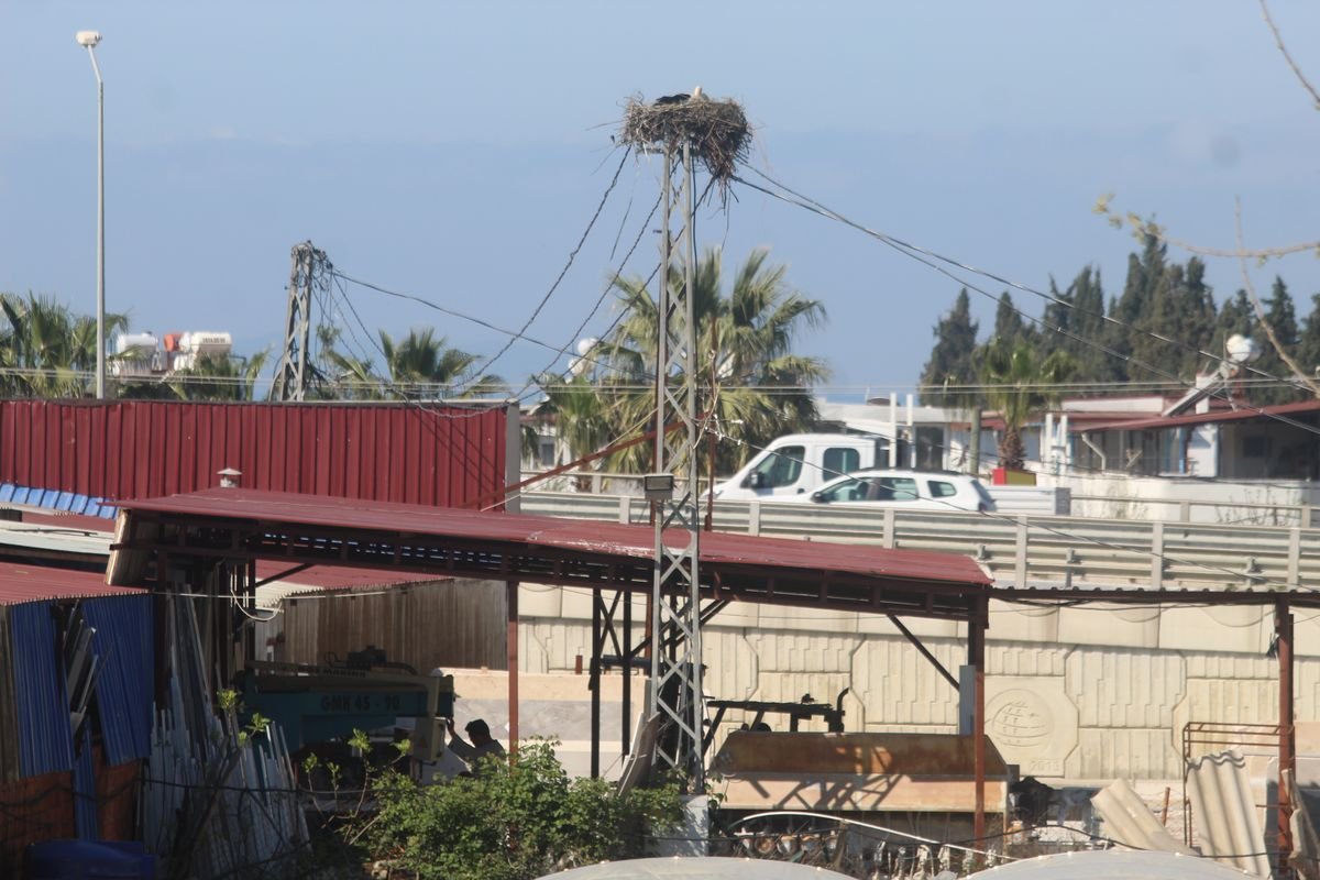 669318146 10162938757482075 45853068070546925 N