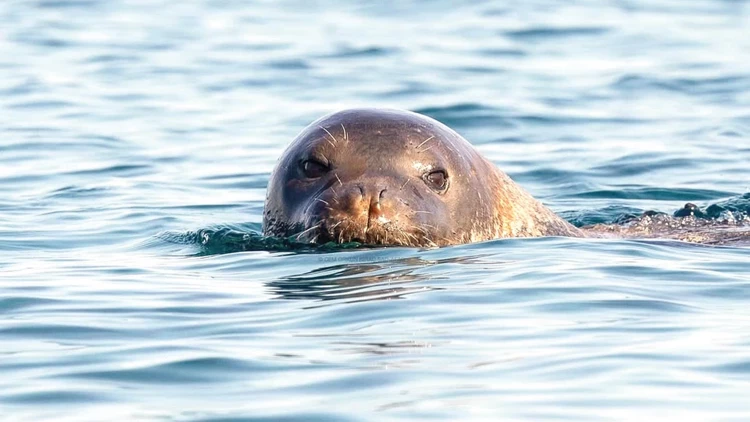 67536Aca6E7E9Ba6D6C26B9C