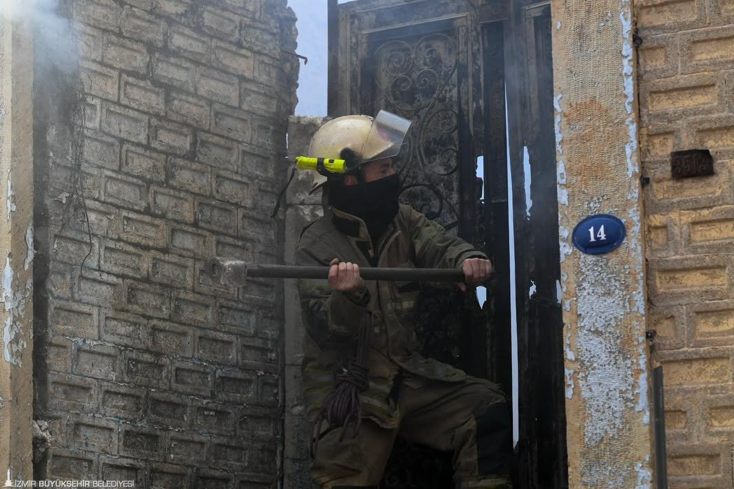 678263451 949578871164852 3955268288217372897 N