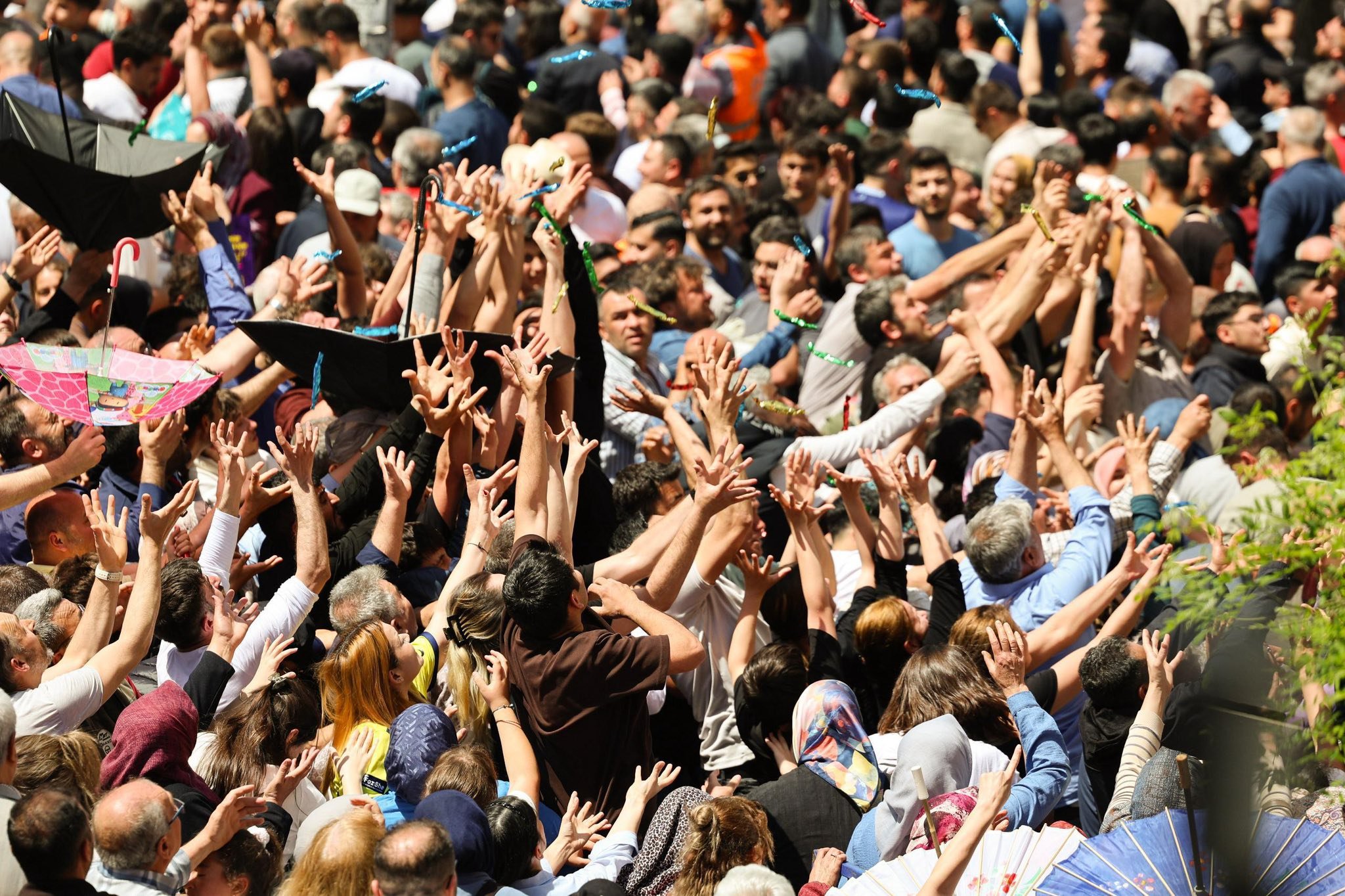 682941818 1554975559317791 3044779784295427848 N