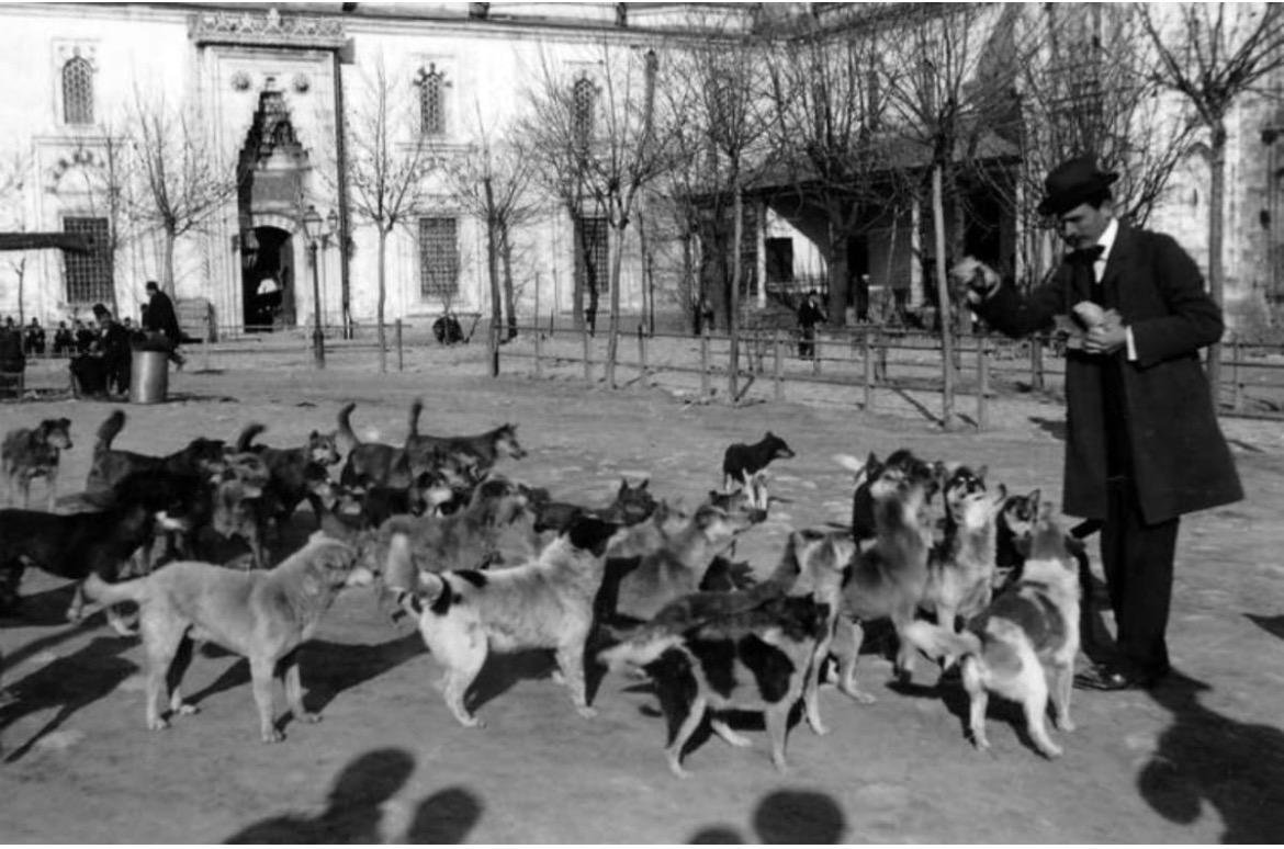 8F3Abdc2 3D89 4C13 B017 930159998591