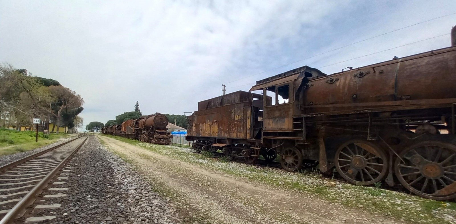 90D96254 5383 4464 A5Db 264Fb2B1C6B1