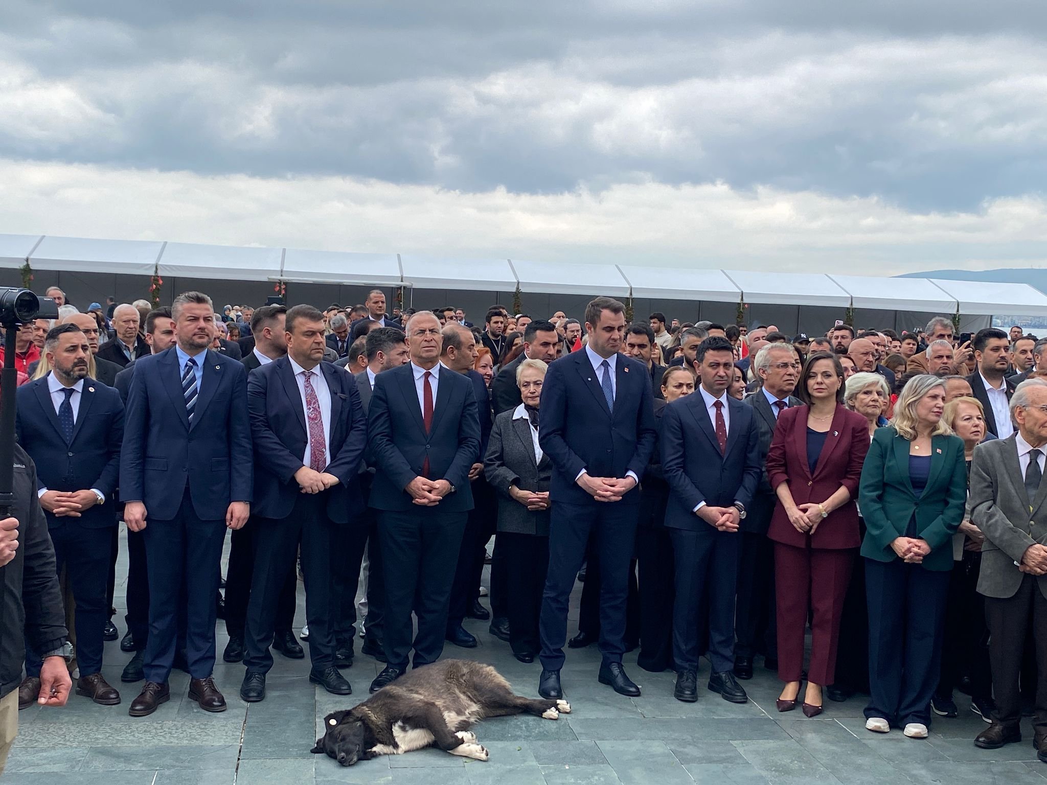 933Bf626 Fe57 45F4 8E7C 8Aa7167A8897