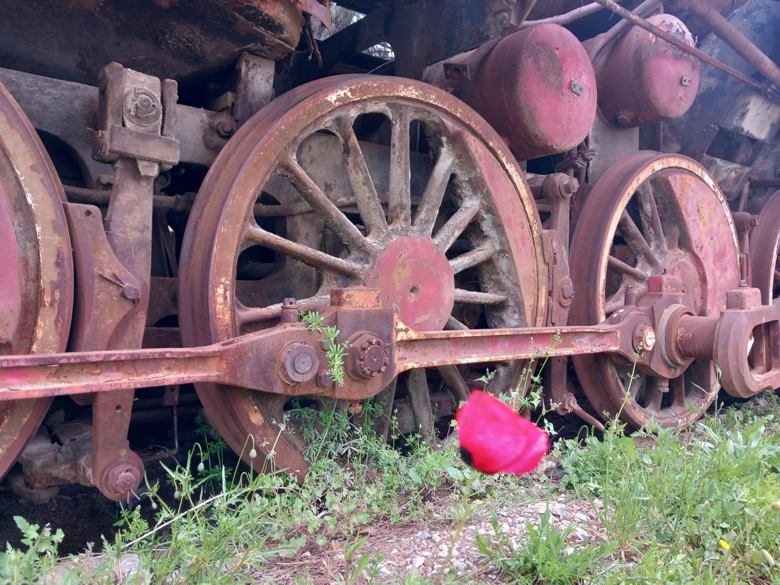 9461Ffe0 2059 452A 9Eaa Ef0Af96D2970-1