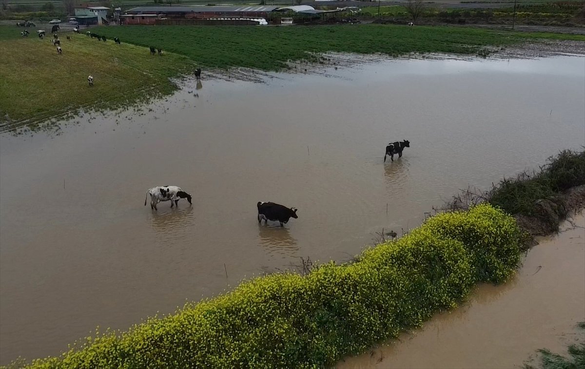 A A 20260404 41011171 41011162 I Z M I R D E S A G A N A K N E D E N I Y L E T A R I M A R A Z I L E R I V E K A R A Y O L U S U A L T I N D A K A L D I