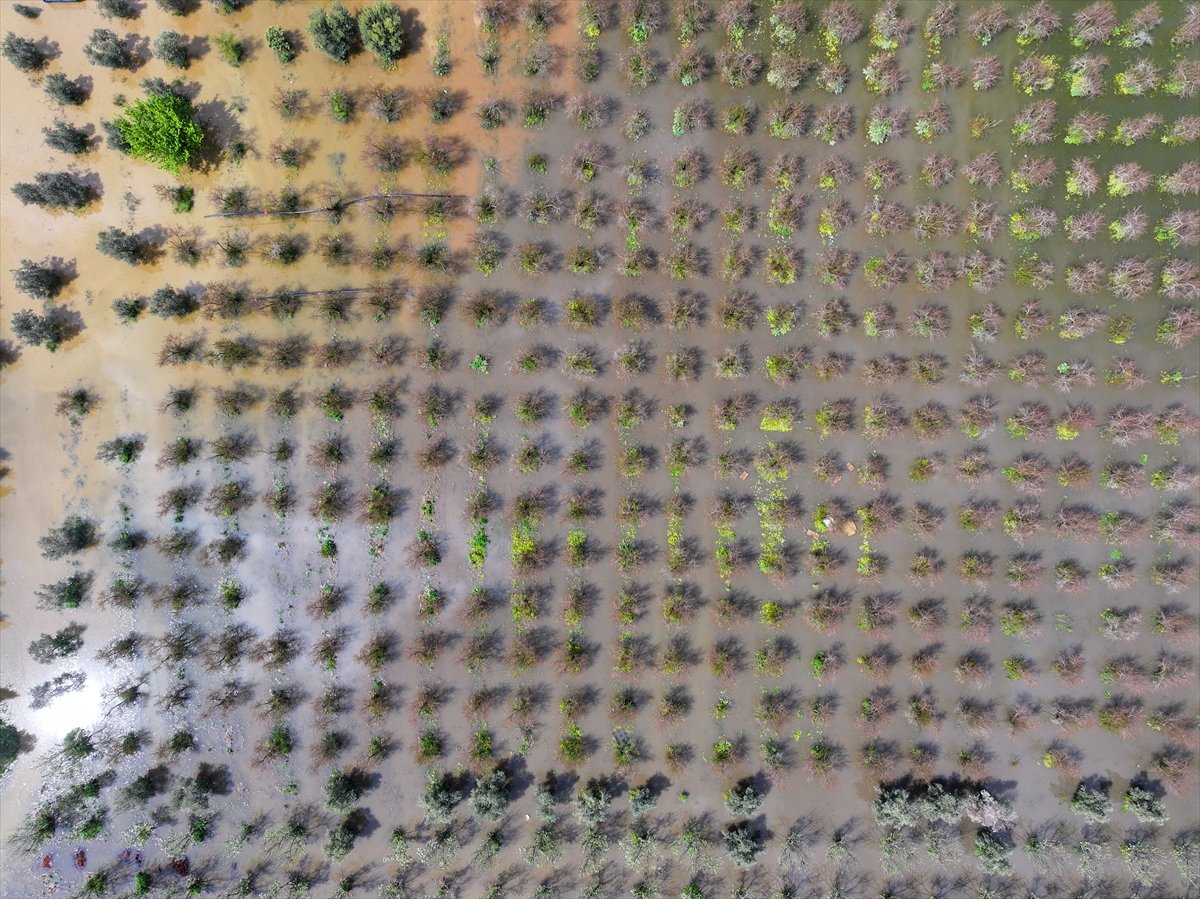 A A 20260405 41021724 41021704 I Z M I R D E S A G A N A K N E D E N I Y L E B A Z I T A R I M A R A Z I L E R I V E M E Y V E B A H C E L E R I S U A L T I N D A K A L D I