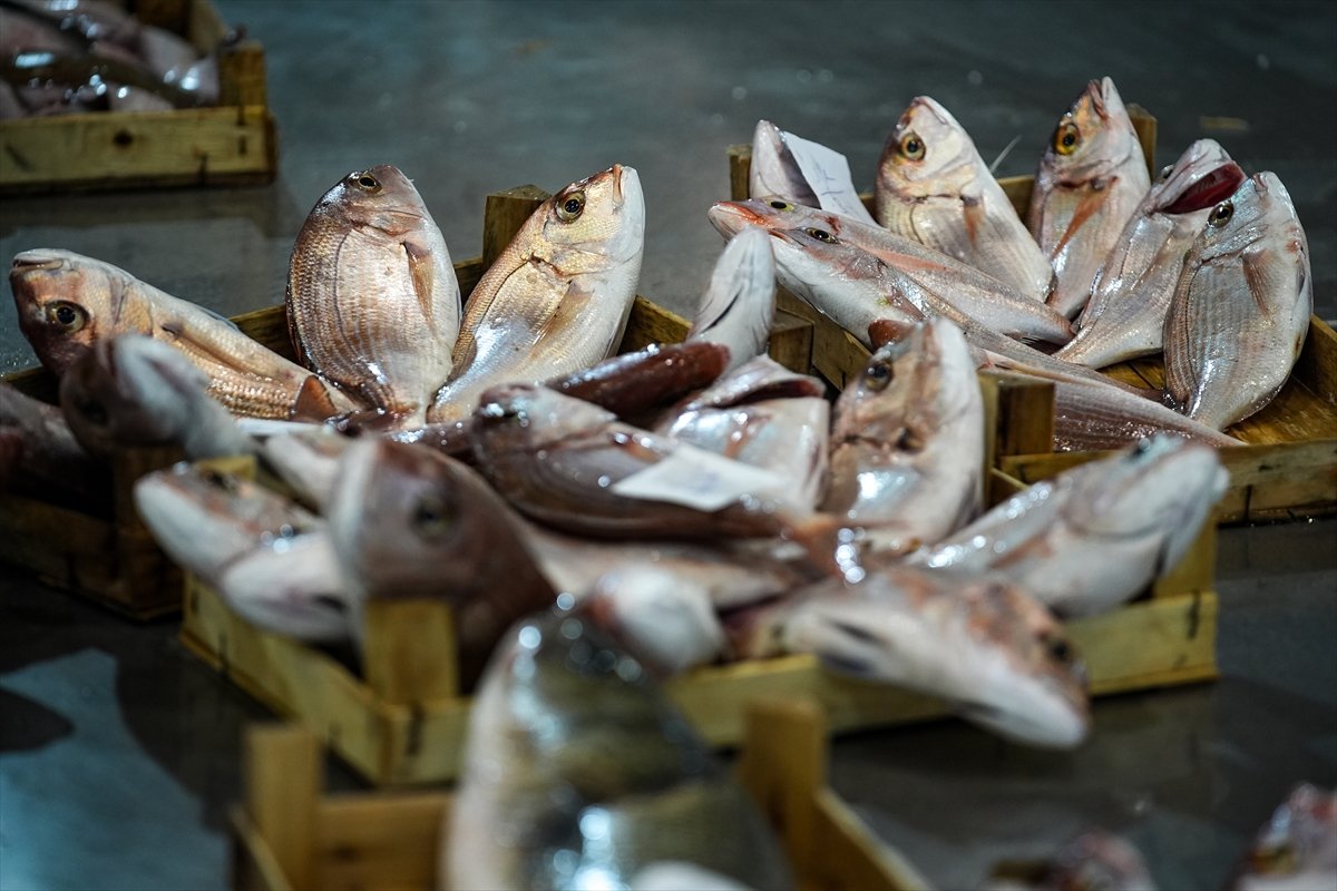 A A 20260410 41068334 41068328 E G E L I B A L I K C I L A R A V S E Z O N U N U M U T L U U G U R L U Y O R