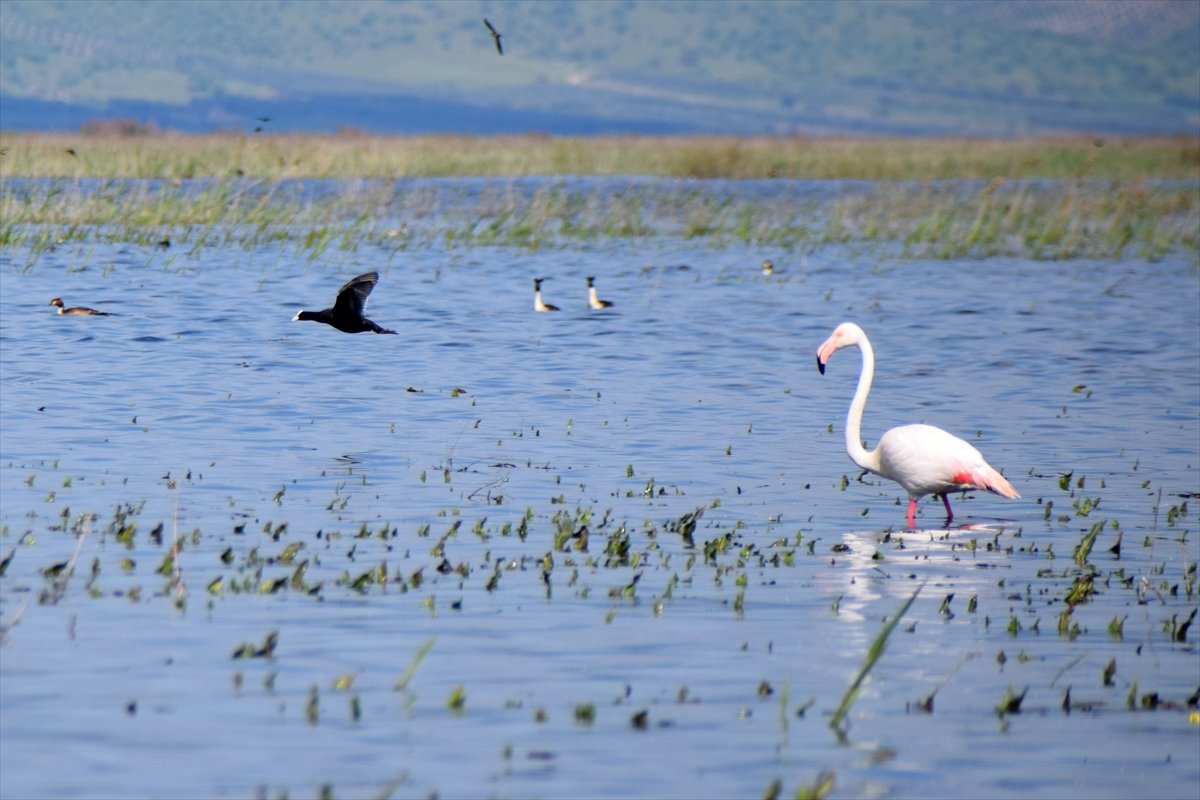 A A 20260413 41092169 41092157 M A R M A R A G O L U Y I L L A R S O N R A Y E N I D E N G O C M E N K U S L A R I A G I R L I Y O R