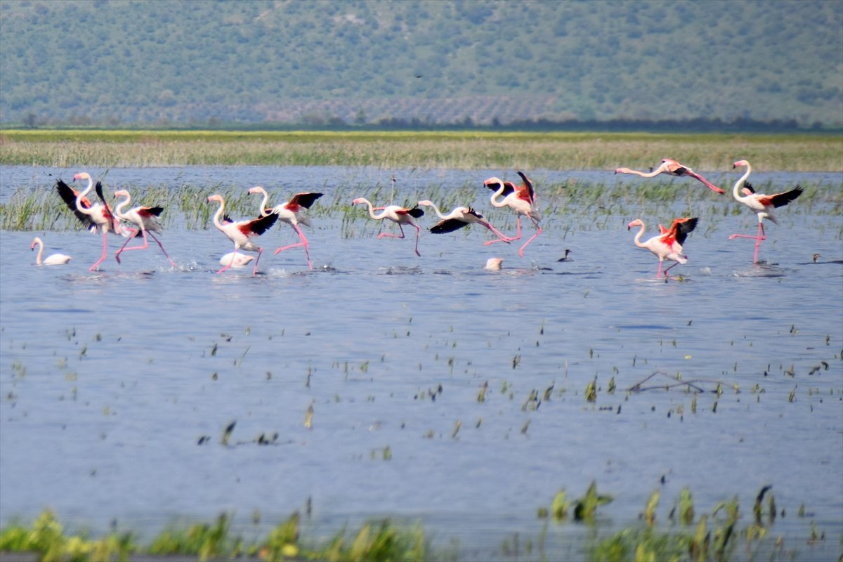 A A 20260413 41092169 41092166 M A R M A R A G O L U Y I L L A R S O N R A Y E N I D E N G O C M E N K U S L A R I A G I R L I Y O R