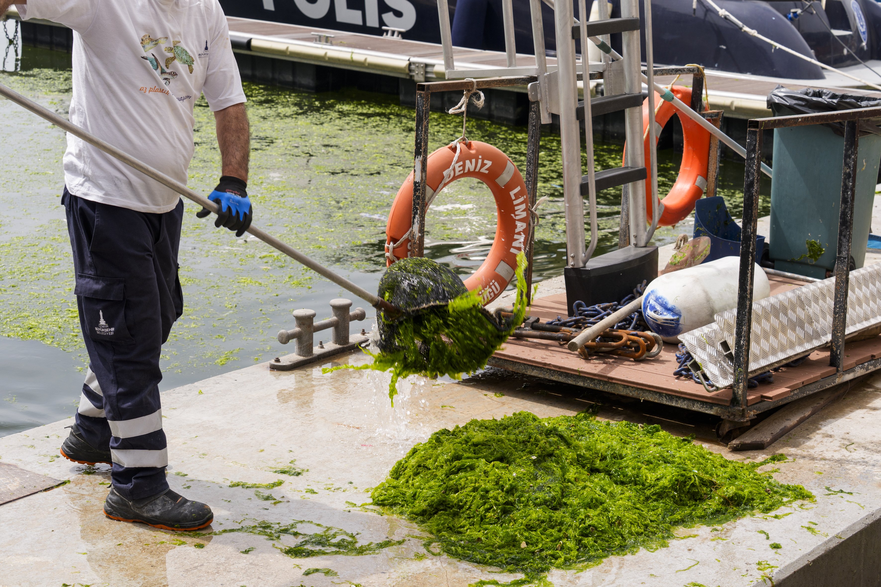 A A 20260415 41113767 41113759 I Z M I R K O R F E Z I N D E K I Y I Y A Y A K I N N O K T A L A R D A Y O S U N T A B A K A S I O L U S T U