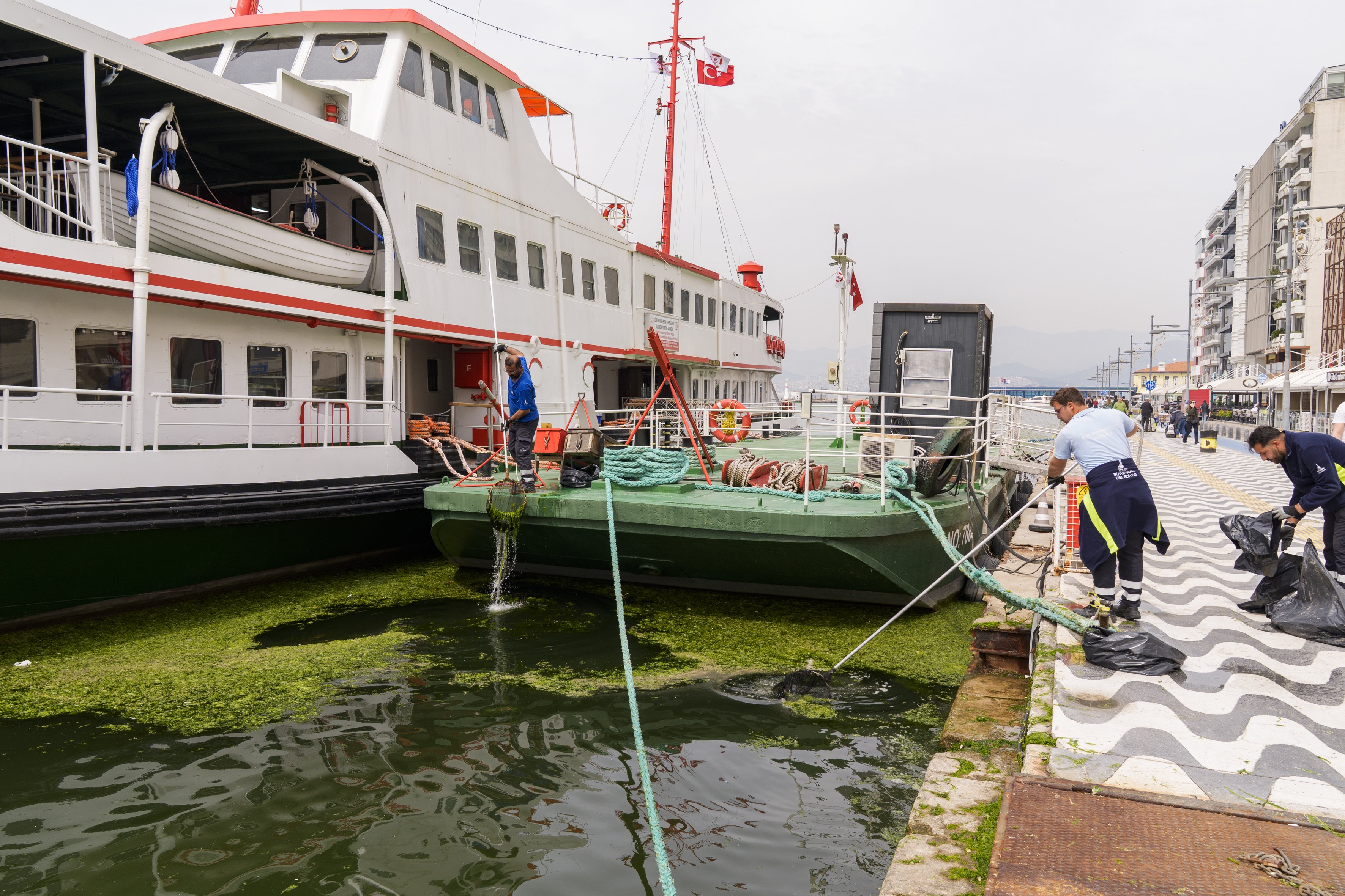 A A 20260415 41113767 41113761 I Z M I R K O R F E Z I N D E K I Y I Y A Y A K I N N O K T A L A R D A Y O S U N T A B A K A S I O L U S T U