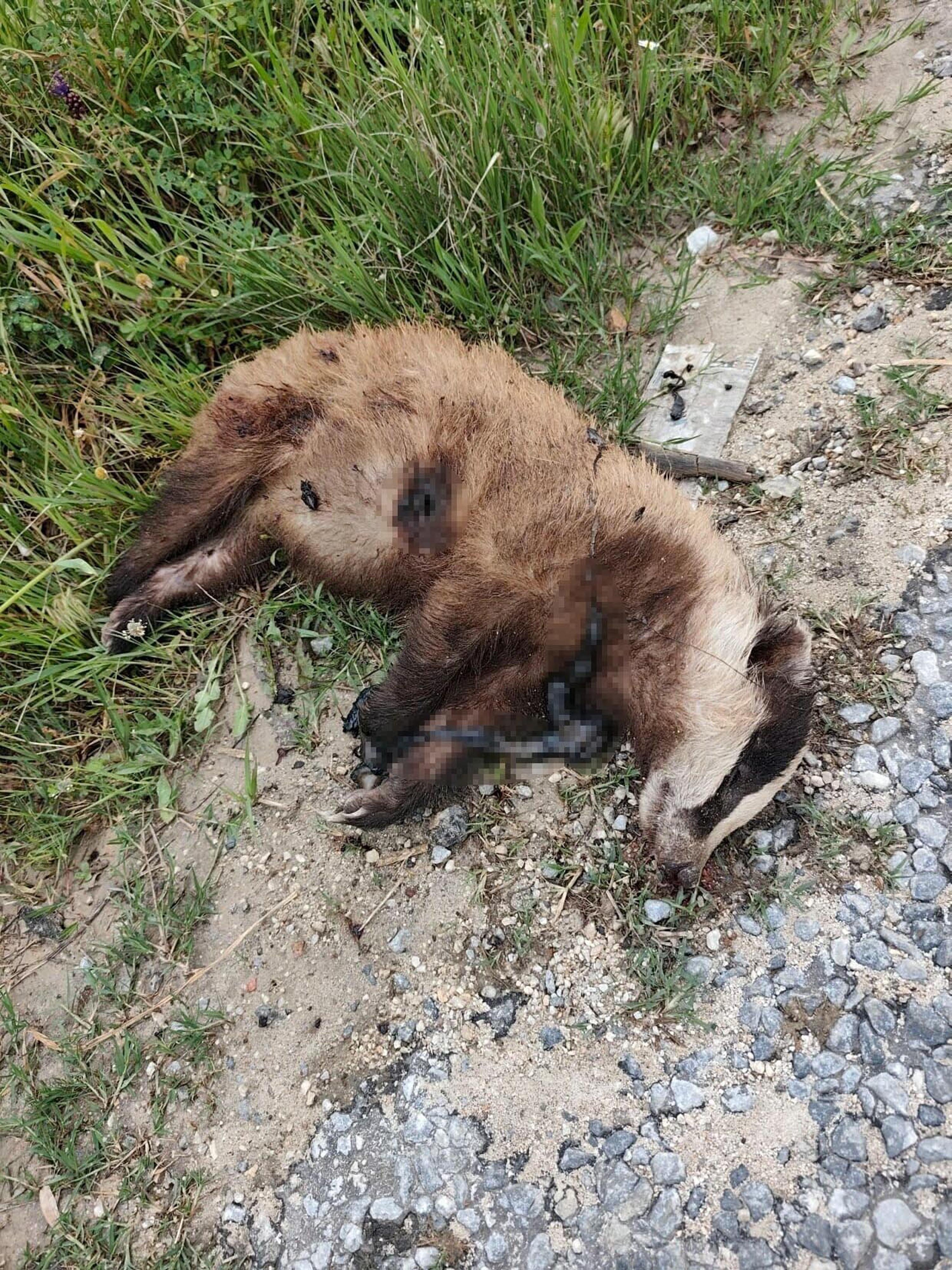 A Y D I N D A N E S L I T E H L I K E A L T I N D A O L A N A V R U 1275553 379598