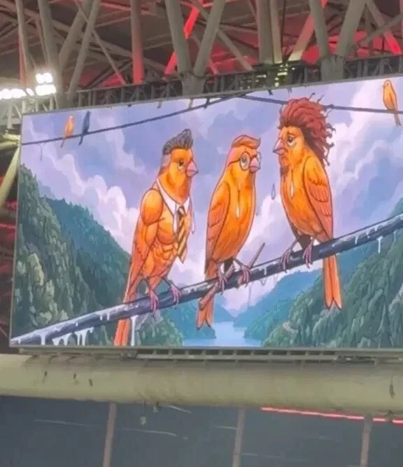 B4F14E91 82E4 41D0 A073 F8Ce701Ccfd Zr7O