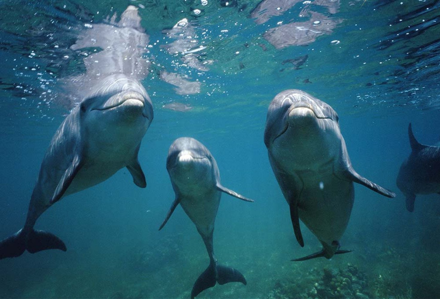 Canadostlar Y U N U S Bizimgezegen