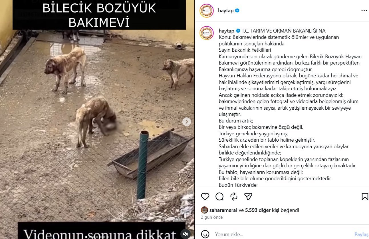 Candostlar Ulkegenelinde Dunyadan (3)