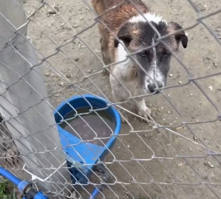 Candostlar Ulkegenelinde Dunyadan (4)