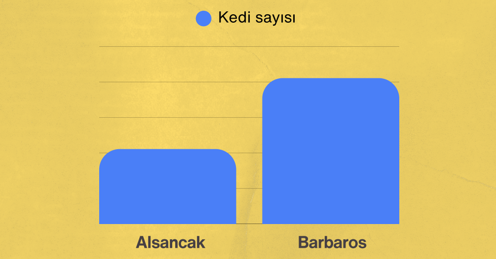 Ekran Görüntüsü 2026 04 14 131009