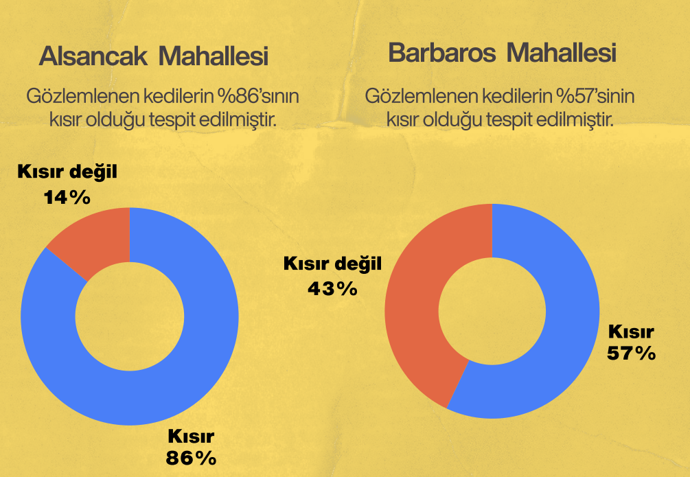Ekran Görüntüsü 2026 04 14 131105