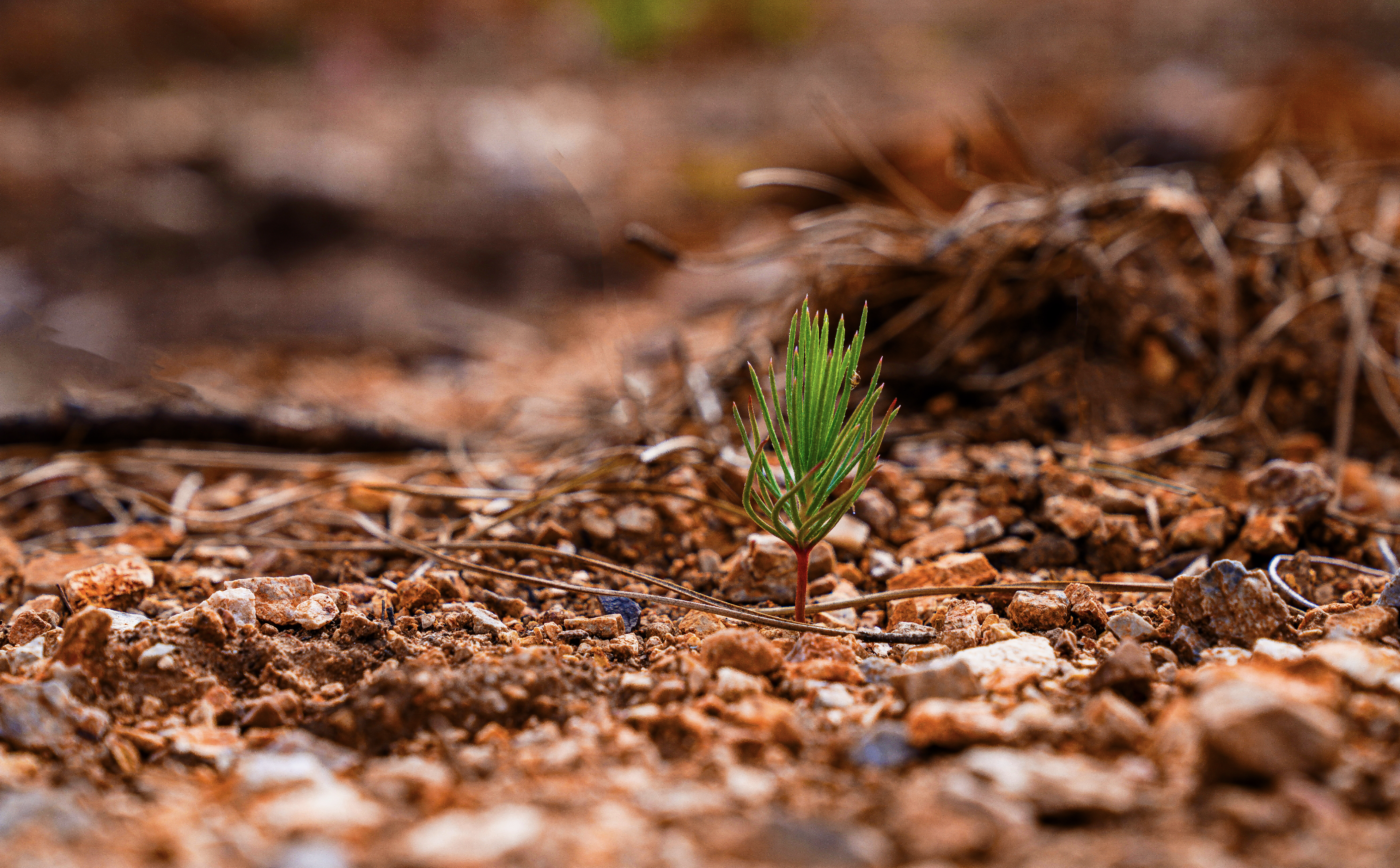 Ekran Resmi 2026 04 16 09.25.36