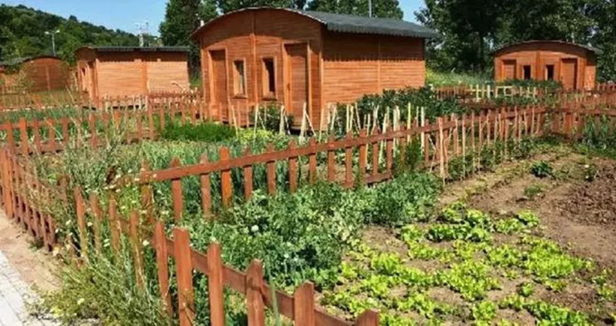 Hobi Bahceleri Son Dakika Hobi Bahcesi Yikim 493D11782B Amp