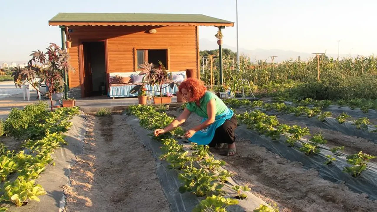 Hobi Bahceleri Yasa Teklifi 2026 Tarim Arazilerine Yonelik Duzenleme 3292698 202604061013 1