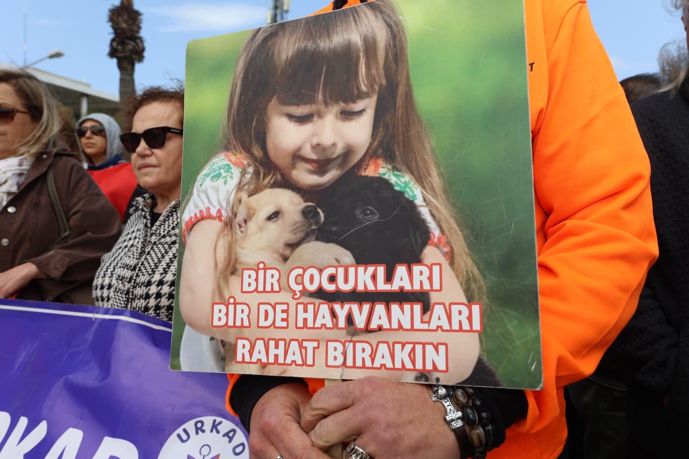 I M G 20260418 W A0042