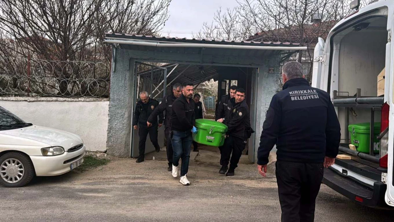 Iki Kardes Babalarini Katletti Tjey