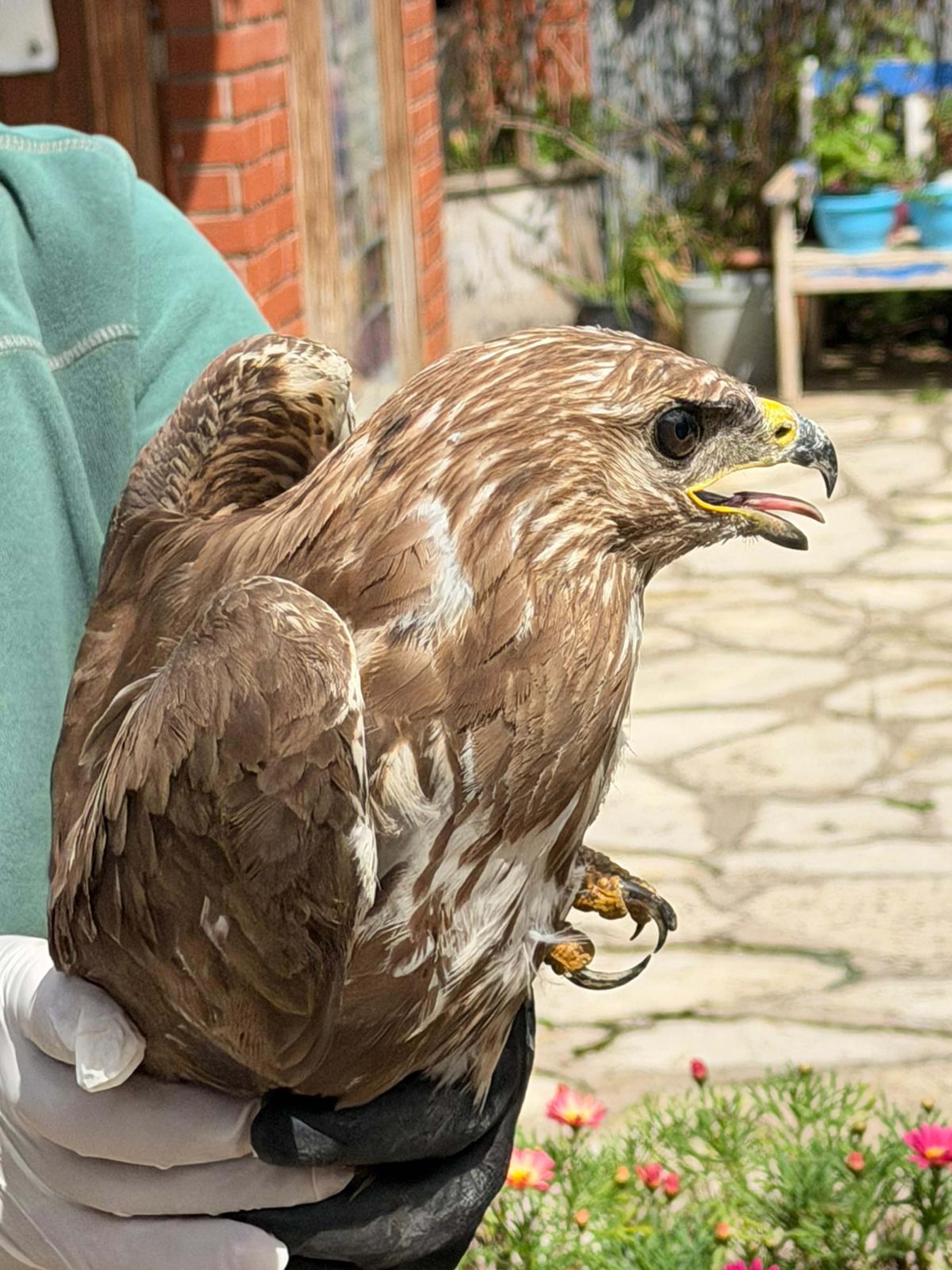 K U S A D A S I N D A Y A R A L I B U L U N A N S A H I N T E D A V 1240068 368878