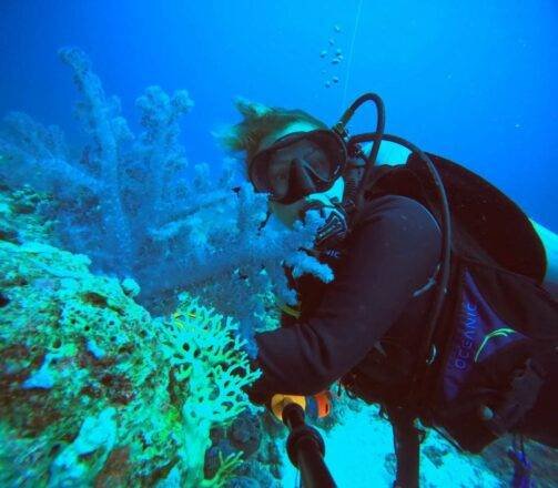 Kadin Dalgic 22 503X440