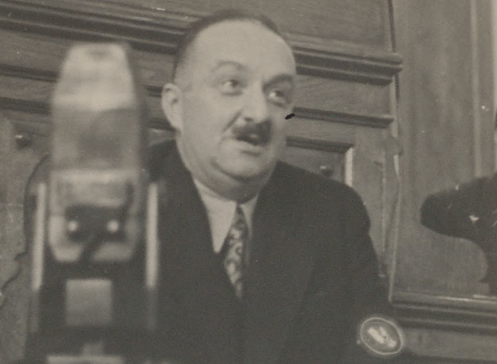 Mahmut Esat Bozkurt Kimdir1