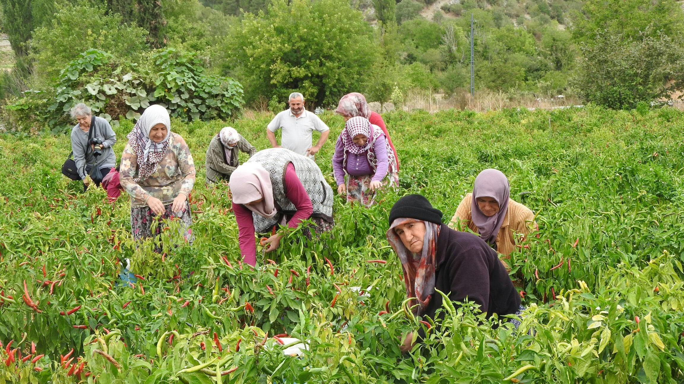 Pexels Mahmut Yilmaz 2148467667 34086187