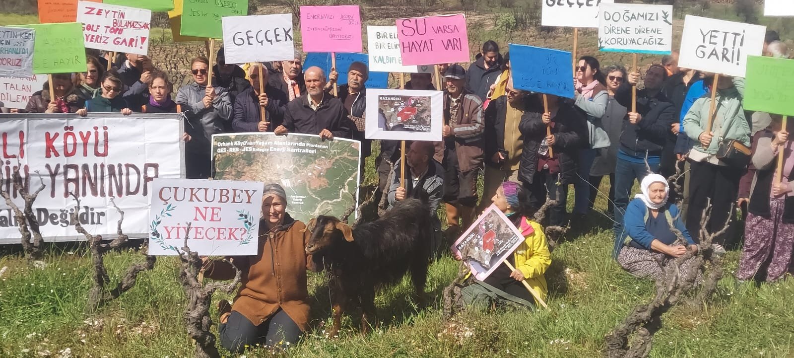 Whatsapp Image 2026 04 05 At 10.51.49 (1)