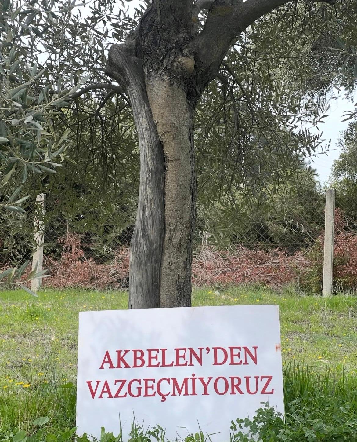 Whatsapp Image 2026 04 08 At 11.41.53 (3)