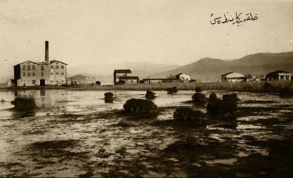 Whatsapp Image 2026 04 10 At 17.20.18 (1)