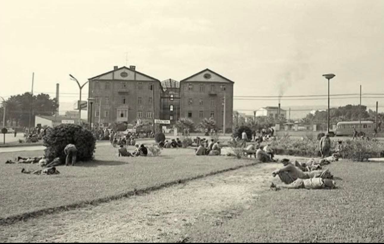 Whatsapp Image 2026 04 10 At 17.20.18