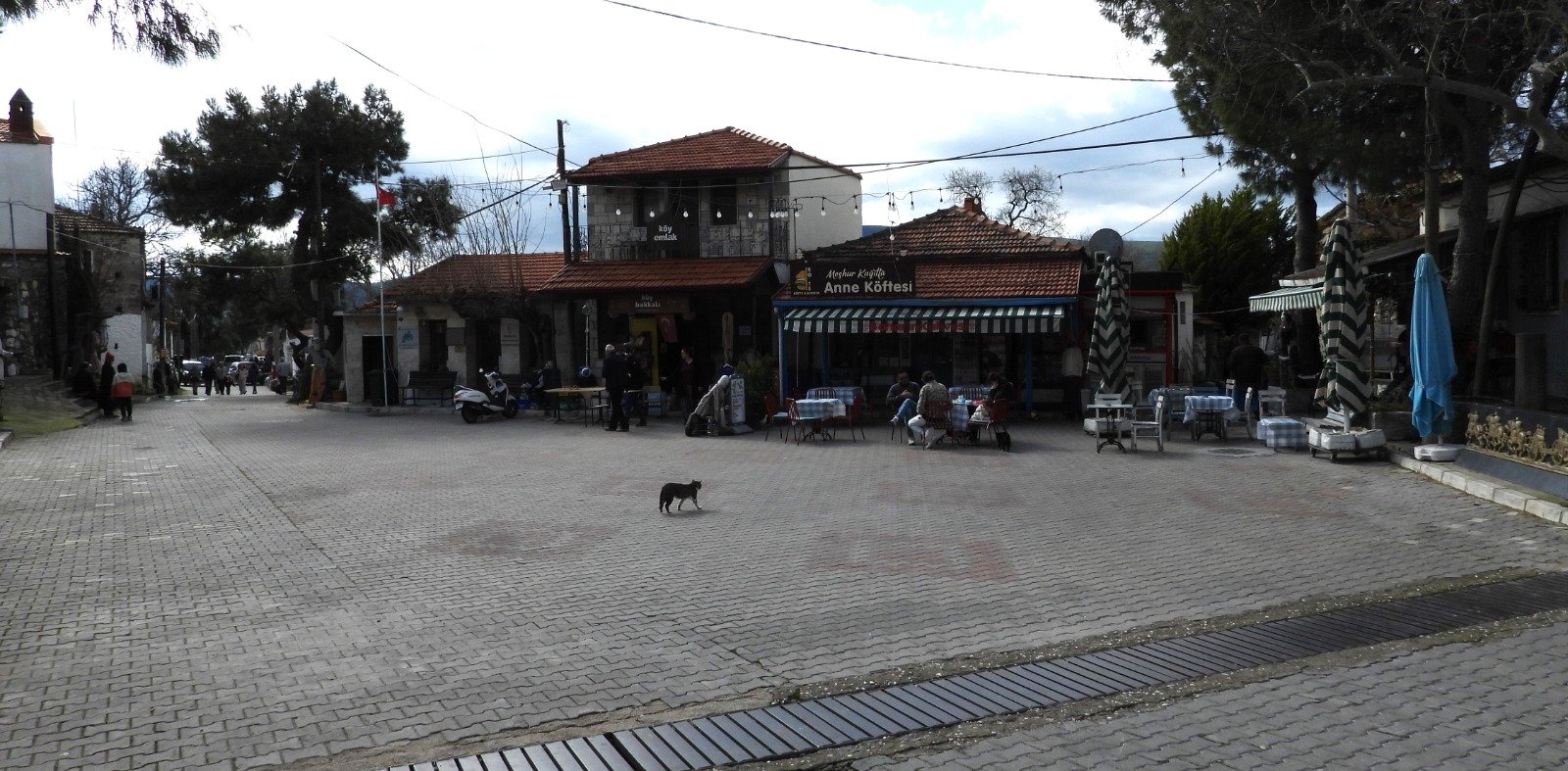 Whatsapp Image 2026 04 13 At 10.21.11 (1)