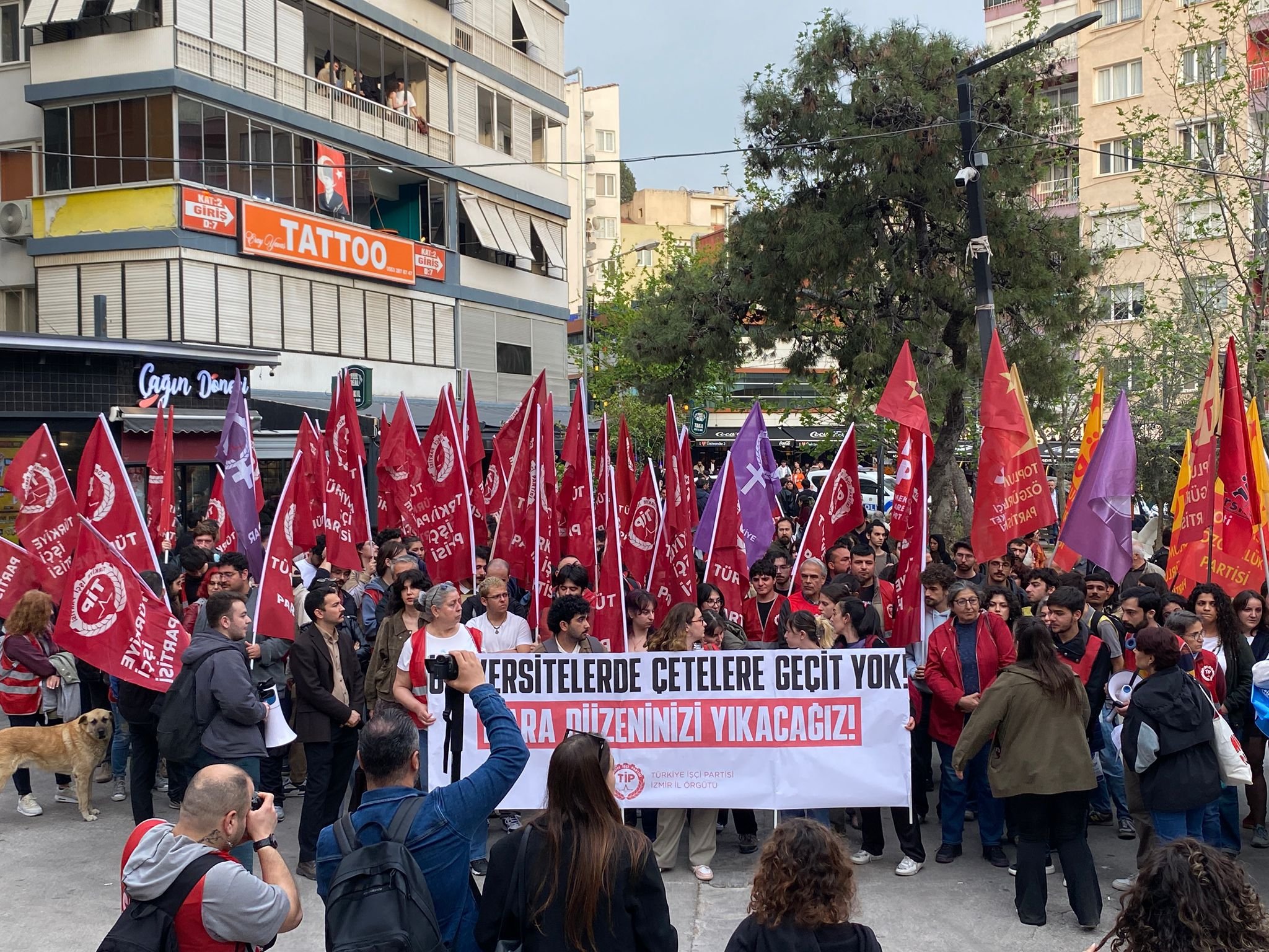 Whatsapp Image 2026 04 15 At 19.45.20-1