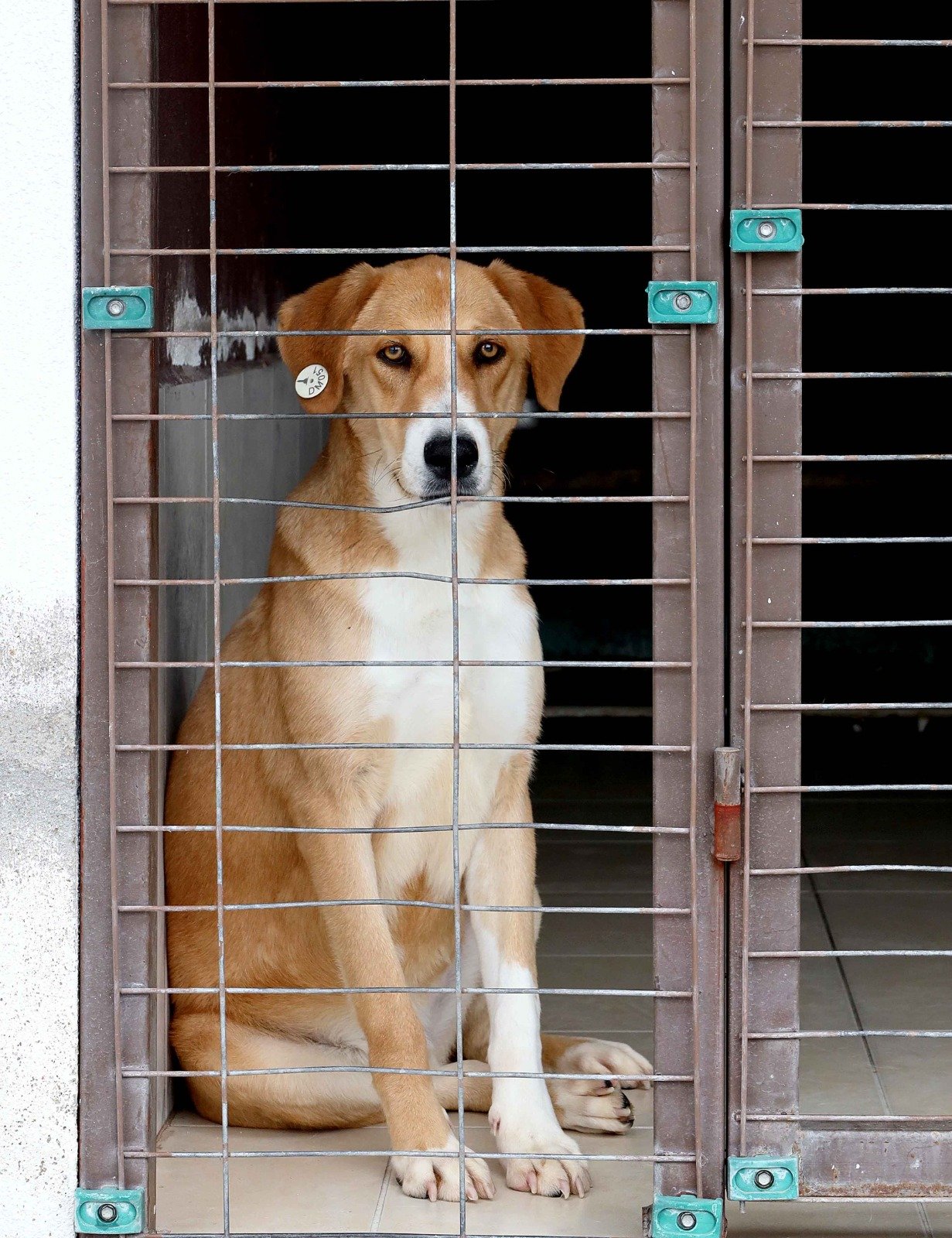 Whatsapp Image 2026 04 16 At 11.51.17-1