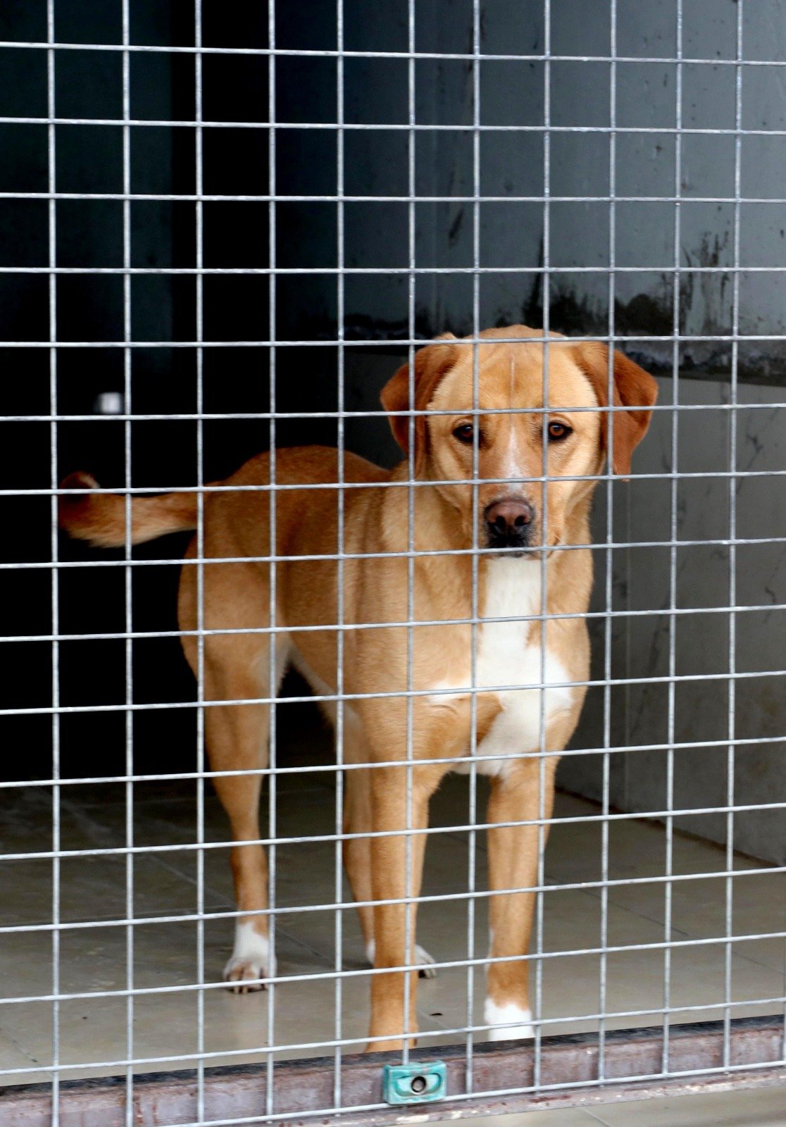 Whatsapp Image 2026 04 16 At 11.51.18